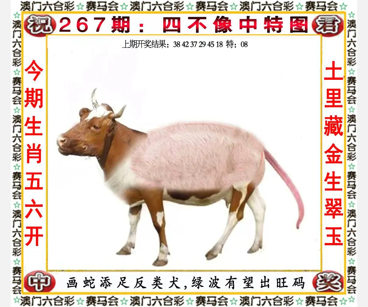 澳门六合彩论坛资料1