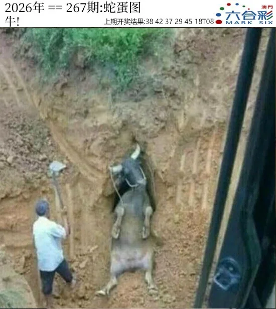 澳门六合彩论坛资料4